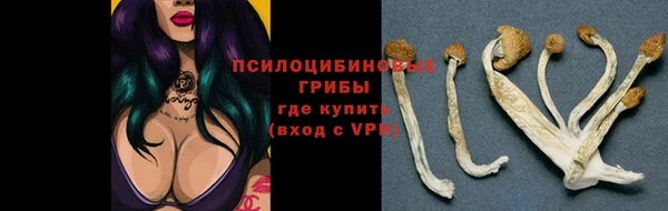 прущие грибы Абдулино