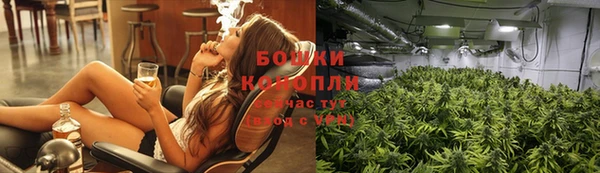 прущие грибы Абдулино